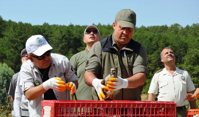 Kütahya’da 200 kınalı keklik ve tedavisi tamamlanan kızıl şahin doğaya salındı