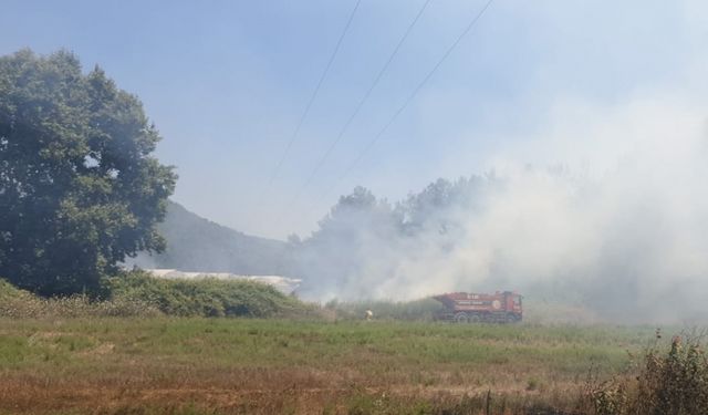 Manavgat'ta makilik alanda çıkan yangın söndürüldü