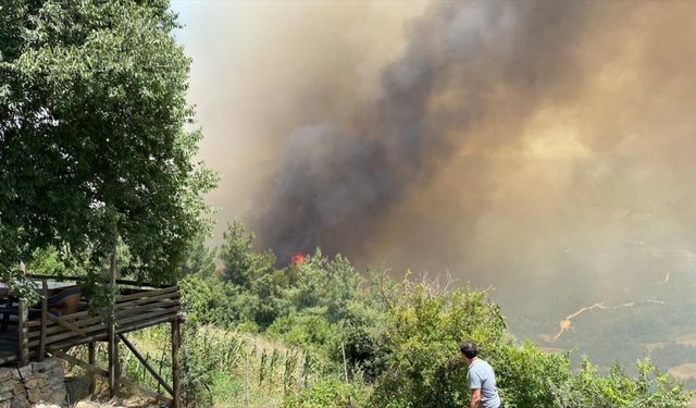Osmaniye'de orman yangını çıktı