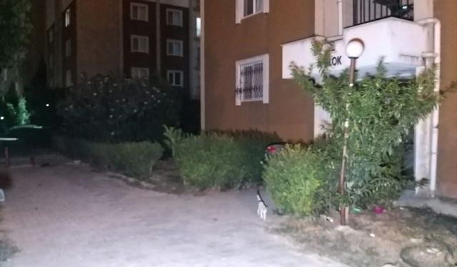 Adana'da ev sahibi ile kiracısı arasında çıkan kavgada 3 kişi yaralandı