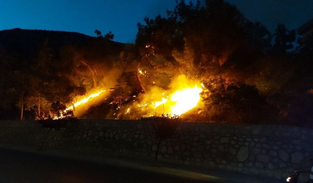 Amasya'da çıkan orman yangını söndürüldü