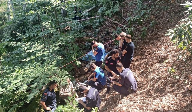 Bartın'da kestiği ağacın altında kalan orman işçisi öldü