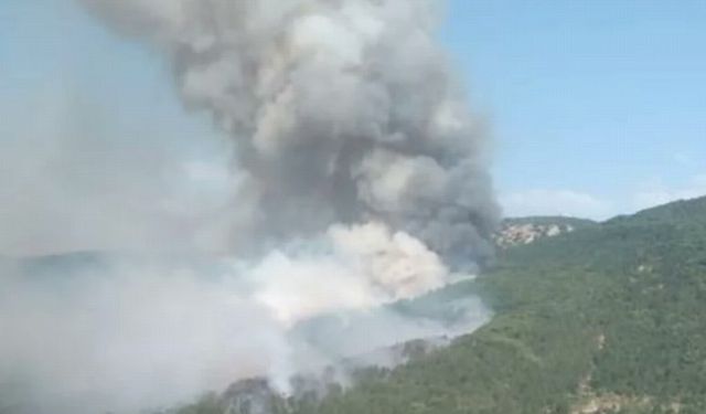 Bilecik kırsalındaki ormanlık alandki yangın kontrol altında