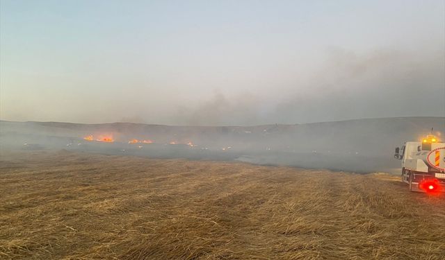 Çankırı'da çıkan yangında 300 dekar tarım arazisi zarar gördü