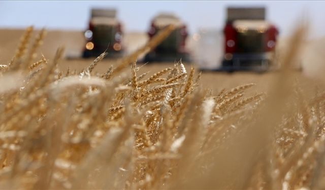 Çiftçilere mazot, gübre ve prim desteği 17 üründe kaldırıldı