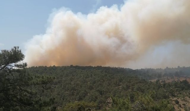 Denizli'de çıkan orman yangınına müdahale ediliyor
