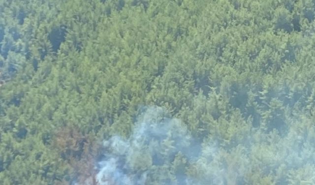 İzmir'de orman yangını kontrol altına alındı