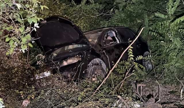 Karabük'te yol kenarına devrilen otomobildeki 3 kişi yaralandı