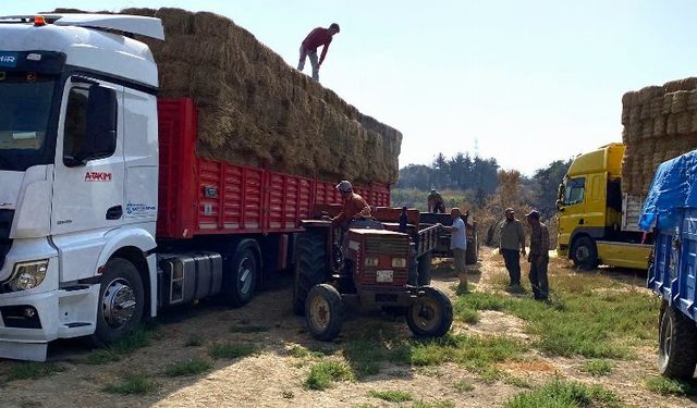 Kocaeli’den, Çanakkale’deki yangın mağduru çiftçilere destek
