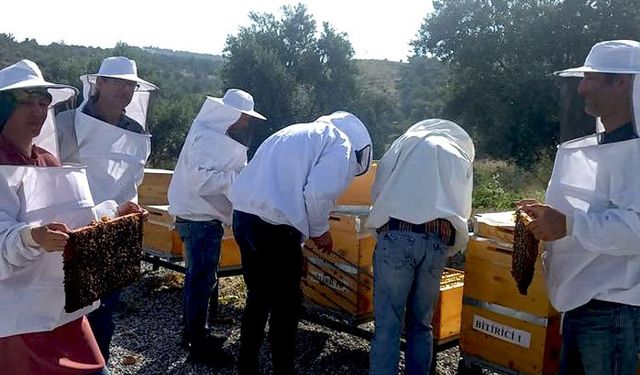 Arıcılara mesleki standart geliyor