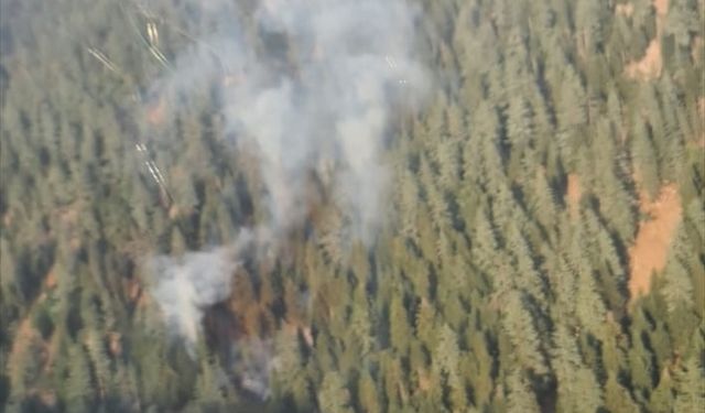Osmaniye'de orman yangının çıktı