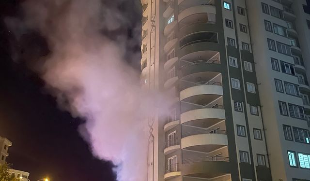 Şanlıurfa'daki ev yangınında dumandan etkilenen kişi hastaneye kaldırıldı