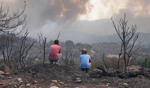 Tarım ve Orman Bakanlığından Çanakkale'deki orman yangınına ilişkin açıklama