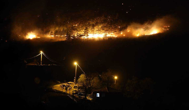 Bilecik ve Bursa'da etkili olan orman yangını kısmen kontrol altına alındı