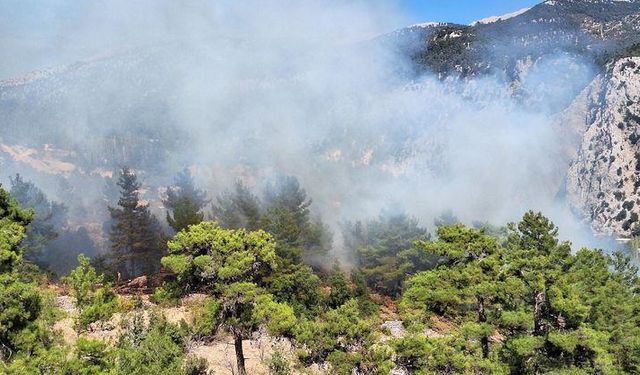 Antalya'nın Kaş ilçesinde orman yangını çıktı