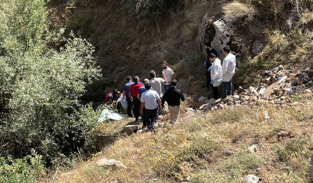 Bitlis'te kayalıklardan düşen kişi hayatını kaybetti