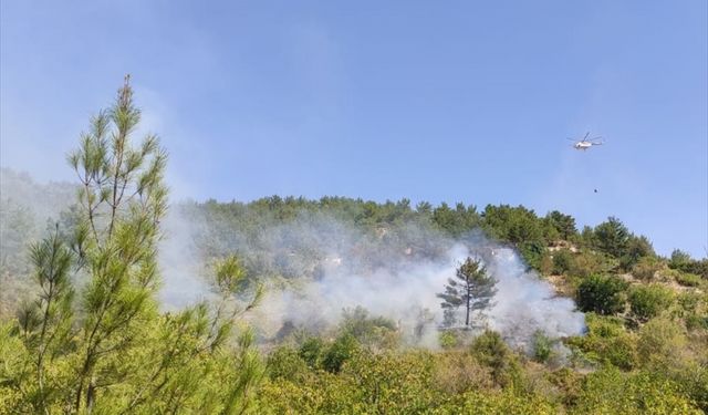 Mersin'de zirai alanda çıkan yangın kontrol altına alındı