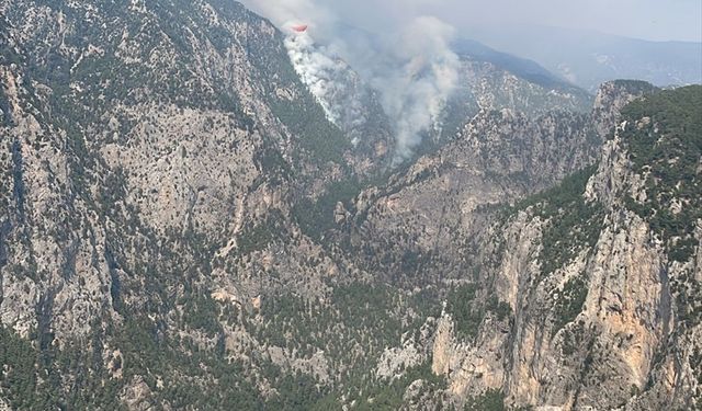 Burdur'da Karanlıkdere Kanyonu'nda orman yangını çıktı