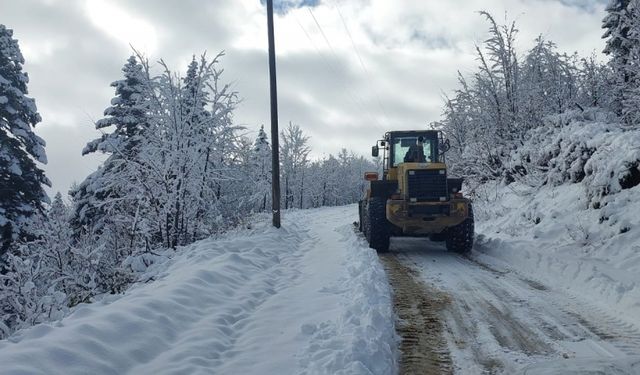 Trabzon ve Rize'de kar, 14 yerleşim yerine ulaşımı kapattı