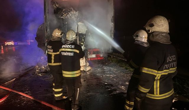 Anadolu Otoyolu'nda pamuk yüklü tırda yangın çıktı