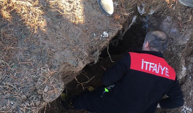 Sivas'ta su kuyusuna düşen köpeği itfaiye ekipleri kurtardı