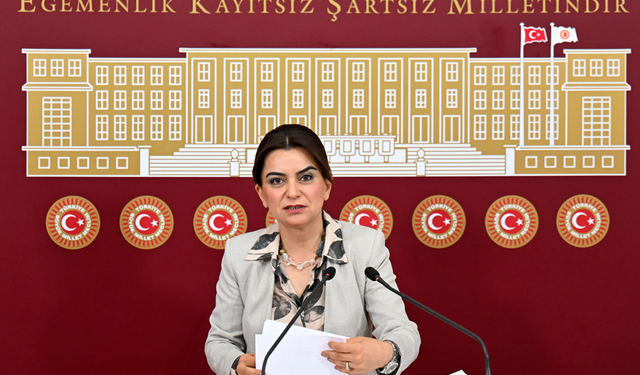 Koçyiğit: İnsanlar katliam olmasın, çocuklar ölmesin, kuşatma kalksın diye sokaklara çıktı, bunun neresi suç?