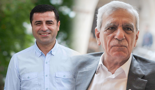 "Selahattin Demirtaş ve Ahmet Türk'ün siyaseti bırakamaz, açıklamaları seçmenleri yönlendirecek"