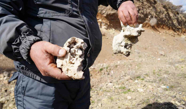 'Niğde’de dinozor fosili bulundu' iddiası