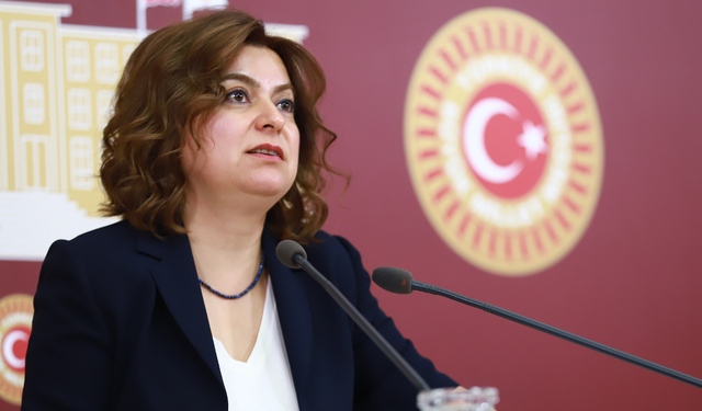 DEM Parti'li Koçyiğit: "Meclis, Anayasasızlığa alet edildi"