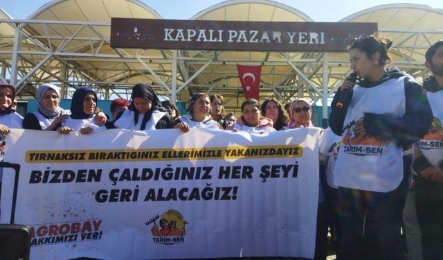 210 gündür sera önünde direnen Agrobay işçileri Ankara'ya yürüyüş başlattı