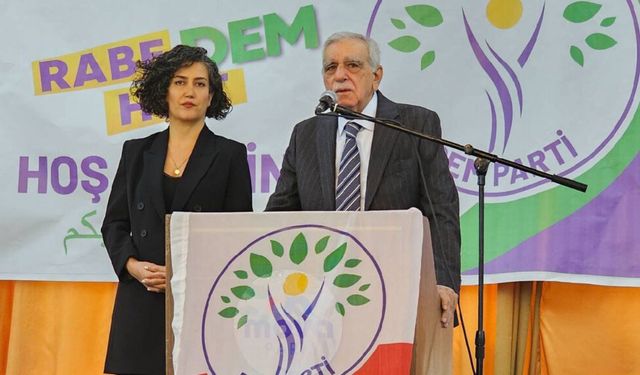 Ahmet Türk: Bu dönem kayyım atamayabilirler