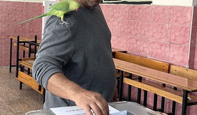 Antalya'da bir seçmen oy kullanmaya papağanıyla gitti