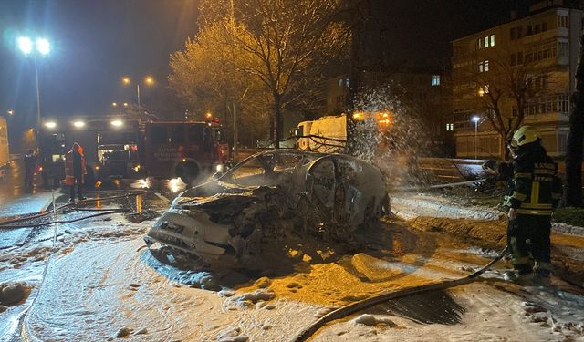 Kayseri'de elektrikli otomobil ağaca çarparak yandı, sürücüsü hayatını kaybetti