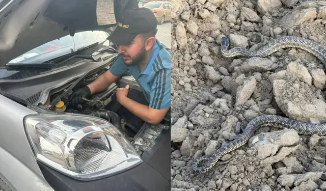 Konya'da tamir için bırakılan araçtan yılan çıktı