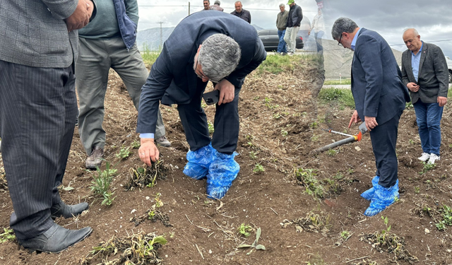 AKP'li vekil çiftçi için dua edip ayakkabısına poşet geçirdi