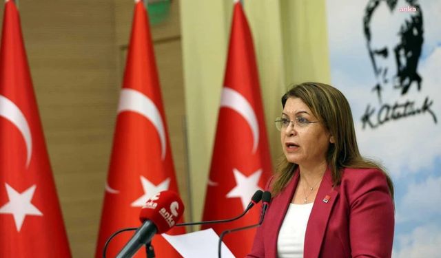 Gezi ve Kobani davaları! CHP'li Biçer Karaca: Erdoğan 'benim normalim bu' mesajı veriyor