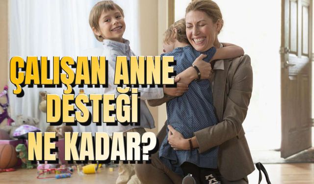 Çalışan Anne Desteği Ne Kadar? Şartları Neler? e-Devlet Başvurusu…