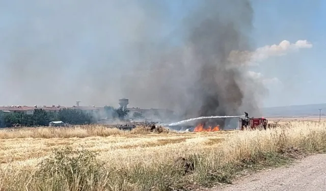 Diyarbakır'da buğday tarlasında yangın