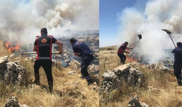 Mardin'de ormanlık alanda çıkan yangın kontrol altına alındı