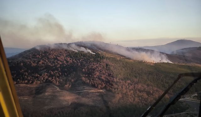 Soma'da çıkan orman yangınına müdahale ediliyor