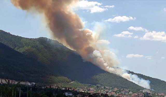 Denizli'de çıkan orman yangını kontrol altına alındı