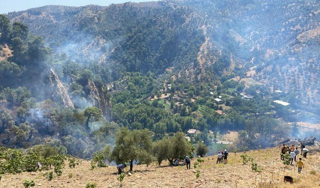 Aydın'da kontrol altına alınan yangın yeniden yükseldi