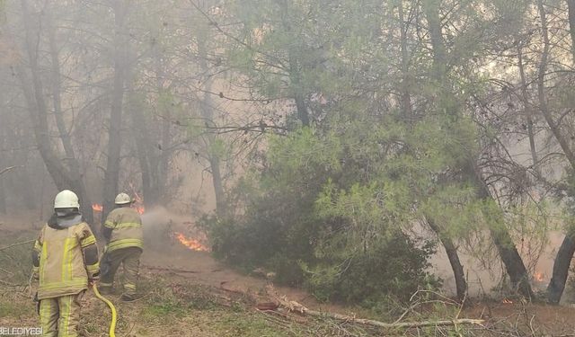 İzmir İtfaiyesi kentin dört bir yanında yangınlarla mücadele ediyor