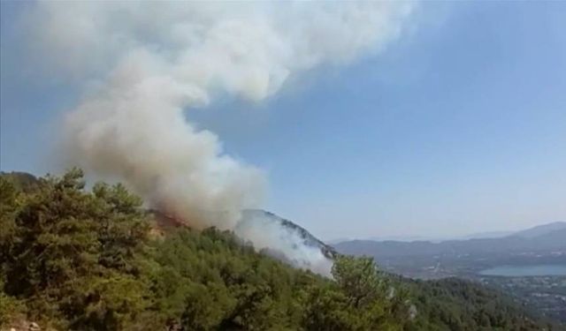 Muğla'daki orman yangınına müdahale sürüyor