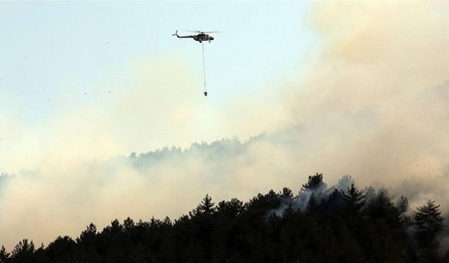 İzmir Kemalpaşa'da çıkan orman yangını kontrol altına alındı