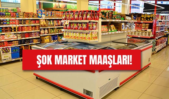 Şok Market Personel Maaşları 2024: Çalışma Şartları!