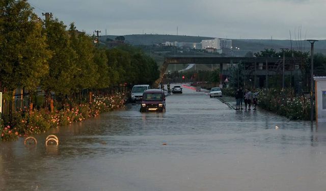 Sinop'ta şiddetli yağış zarara yol açtı