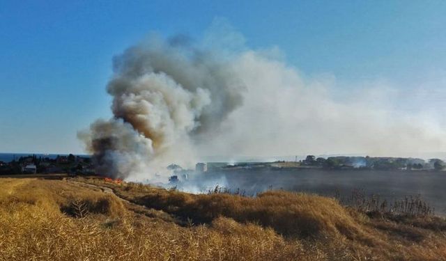 Tekirdağ'da çıkan tarla yangını söndürüldü