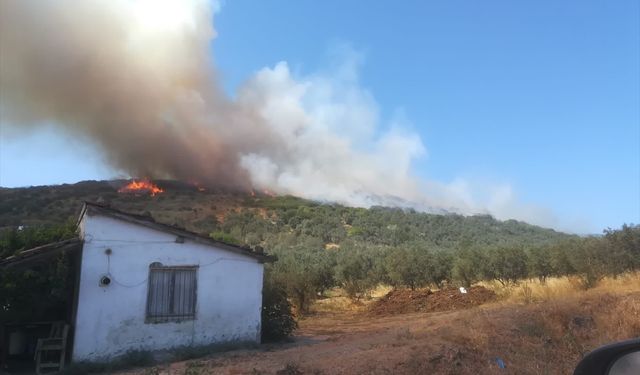 Balıkesir Erdek'te orman yangını: 37 araçla müdahale ediliyor