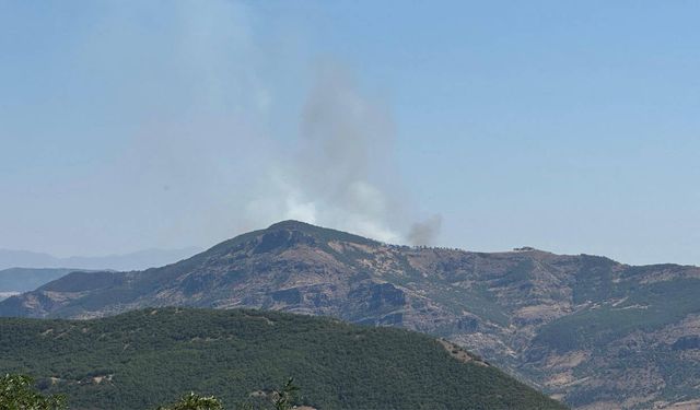 Dersim'de orman yangını